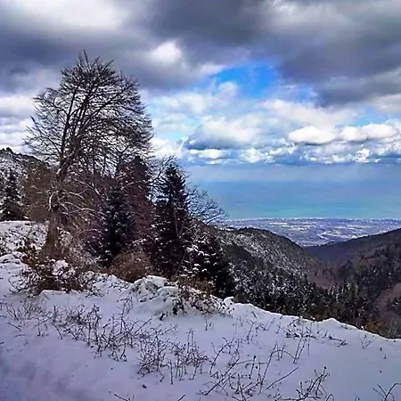 Alexandros Skotina
